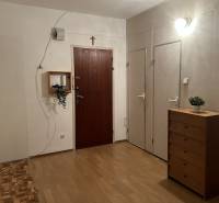 The hallway of a 2-room apartment with a wooden decor floor and a wooden chest of drawers.