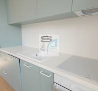 A kitchen in a 2-room apartment with a sink, an induction hob, and a wooden decor floor.