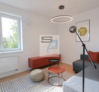 Living room in a two-room apartment with a wood-patterned floor and a sofa.