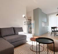 Living room in a 2-room apartment with a sofa, dining table, and wooden decor flooring.