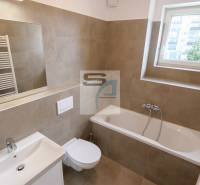 A bathroom in a 2-room apartment with a bathtub, a sink, a mirror, and a window.