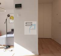Interior of a 2-room apartment with a wooden decor floor, circular chandelier, and gray sofa.