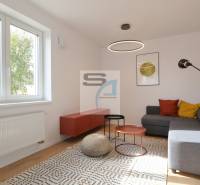 Living room in a two-room apartment, seating, colorful cushions, coffee tables, carpet.