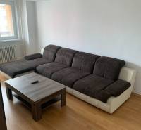 A sofa with a coffee table and a wooden decor floor in a 2-room apartment.