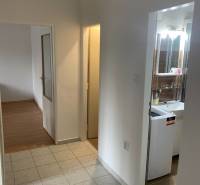 A hallway in a 2-room apartment with a view of the bathroom and a room with a wooden decor floor.
