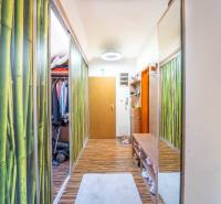 A hallway in a 2-room apartment with a wooden decor floor and a shoe cabinet.