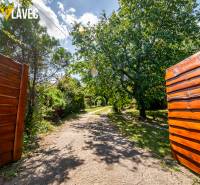 Marek Plavec Slatinské Lazy web-32.jpg