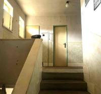 A simple staircase in a family house with a minimalist interior and light walls.