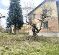 A family house in Rykynčice, surrounded by trees and a grassy garden in the autumn season.