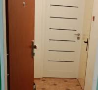 Entrance hallway of a one-room apartment with tiles and two doors.