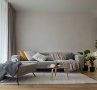 Living room in a 3-room apartment with a sofa, table, plants, and a floor with a wooden decor.