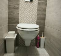 The toilet with tiles in the 3-room apartment has a floor with a wooden decor.
