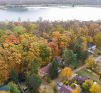 Autumn forest around the Cottage near Prievaly with a view of the lake and surrounding nature.