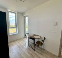 Dining area in a 2-room apartment with wood-patterned flooring and large windows.