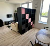 Living room in a 2-room apartment with a shelving wall and a floor with a wood decor.