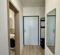 A hallway with a wood-patterned floor, a mirror, and an entrance to the bathroom in a 2-room apartment.