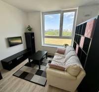 Living room in a two-room apartment with a sofa, television, and wooden decor flooring.