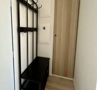 Hallway with a black coat rack, wardrobe, and wooden decor flooring in a 2-room apartment.