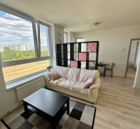 Living room of a two-room apartment with a wooden decor floor, a sofa, and a coffee table.