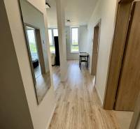 A hallway in a 2-room apartment with a wooden decor floor, light color, and a wall mirror.