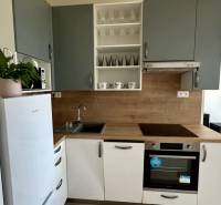 A kitchen in a 2-room apartment with a white refrigerator and wooden decor.