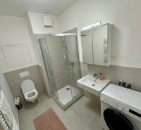 A bathroom with a shower, a sink, and a washing machine in a 2-room apartment.