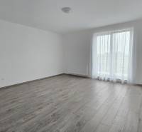 Living room with wood-patterned flooring and a large window in a family house.