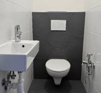 Bathroom with dark flooring and sanitary ware in a family house with a shower faucet.