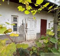 A family house in Zemné: older door and window surrounded by vine.