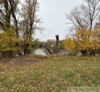 Autumn landscape in the town of Zemné with a river and bare trees.