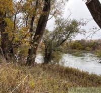 Autumn trees by the river with leaves in Zemné behind the family house.