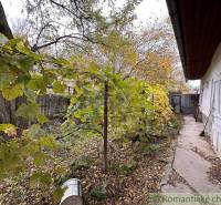 A family house in Zemné with a garden, vineyard, and walkway, surrounded by autumn trees.