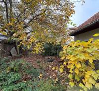 An autumn garden at a family house in Zemné with fallen leaves and an old well.