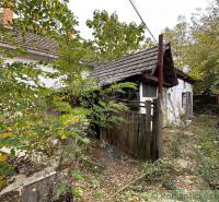 The garden of an older family house in Zemné with a wooden annex and overgrown surrounding environment.