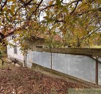 A family house in Zemné with an older fenced garden and colorful leaves on the trees.