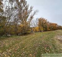 Autumn landscape in Zemné with fallen leaves and trees by the riverbank.