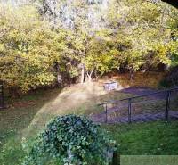 The garden by the cottage in Dudince with autumn trees and a lawn.