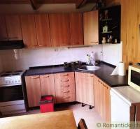 A kitchen in a cabin with a wooden decor floor, a stovetop, and a microwave.