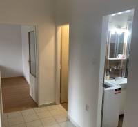 A hallway in a 2-room apartment with access to the bathroom and a room with flooring.