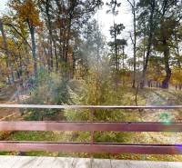 Autumn forest with a view from the cottage on Gazárka Street in Šaštín-Stráže.