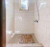 A shower stall tiled with small window in a cottage.