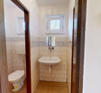 Bathroom with a sink, toilet, and tiles in a cottage, with small windows and a simple design.