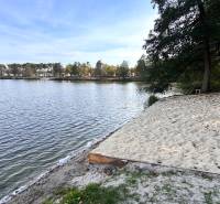 Sandy beach near the cottages at Gazárka in the town of Šaštín-Stráže, surrounded by trees.