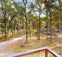 The forest environment near the cottage at Gazárka in Šaštín-Stráže with autumn leaves and a path.