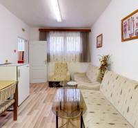 A room in a cabin with a wooden decor floor, a sofa, and an armchair.