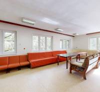 Bright living room with sofas and tables, large windows, view of the forest.