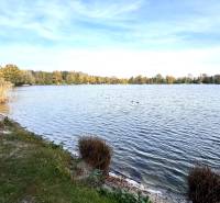 A lake surrounded by greenery in Šaštín-Stráže at Gazárka near the cottage.