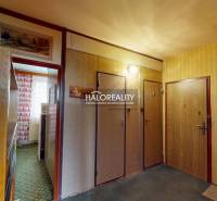 An entrance hallway in a 3-room apartment with wooden decoration and a patterned carpet.