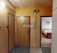 In the 3-room apartment, there is an entrance hall with wood-decor doors and a translucent light.