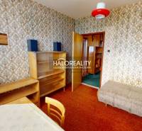 Interior of a 3-room apartment with retro wallpapers, furniture, and a red lamp.